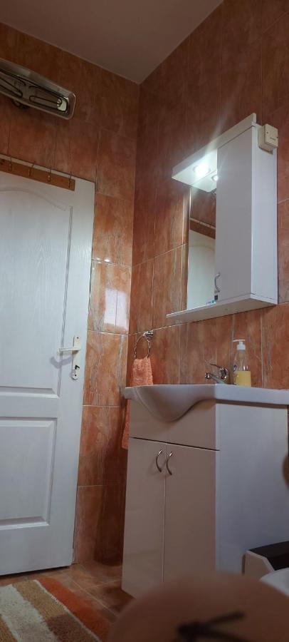 Apartman ,,Milica" Donji Milanovac Eksteriør billede